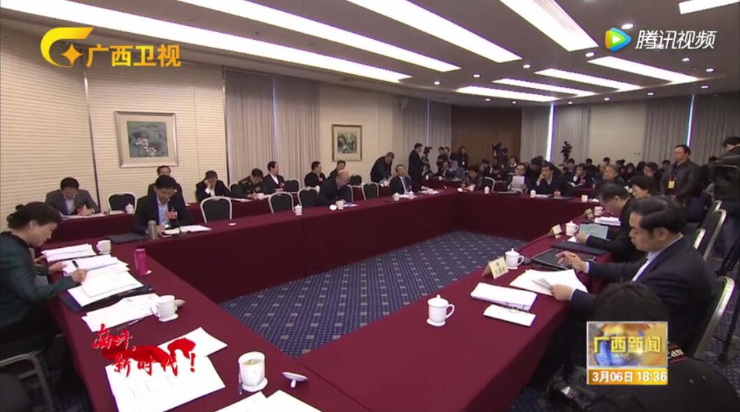 住桂全国政协委员分组讨论政府工作报告