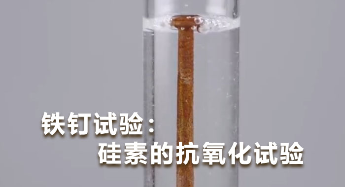 铁钉试验：硅素的抗氧化试验