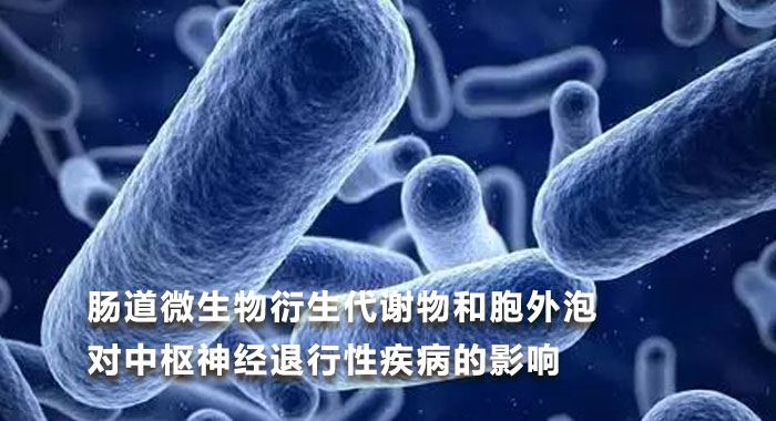 肠道微生物衍生代谢物和胞外泡对中枢神经退行性疾病的影响（英文）