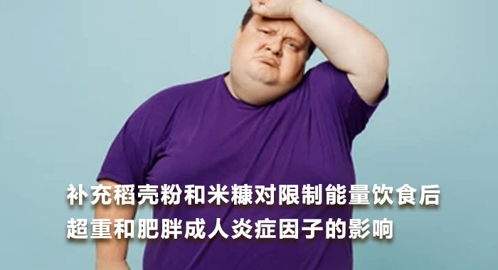 2017，补充稻壳粉和米糠对限制能量饮食后超重和肥胖成人炎症因子的影响(英文版)