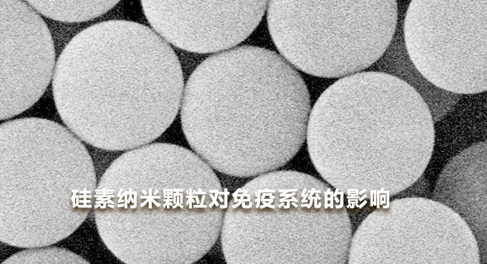 2018, 硅素纳米颗粒对免疫系统的影响(英文版)