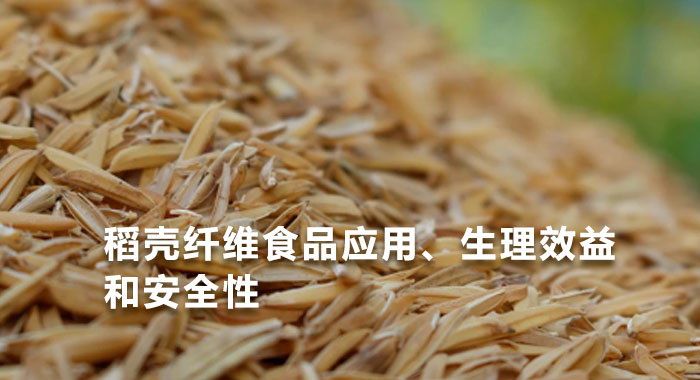 2013，稻壳纤维食品应用、生理效益和安全性(英文版)