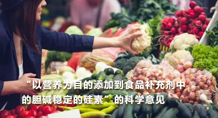 2017，&ldquo;以营养为目的添加到食品补充剂中的胆碱稳定的硅素&rdquo;的科学意见(英文版)