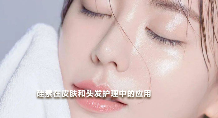 2016，硅素在皮肤和头发护理中的应用：一种有效的化学形式(英文版)