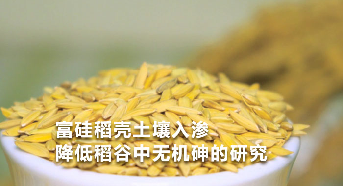 2016，富硅稻壳土壤入渗降低稻谷中无机砷的研究(中文版)