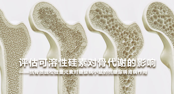 2011，评估可溶性硅素对骨代谢的影响&mdash;&mdash;抗骨质疏松微量元素对糖尿病小鼠的抗糖尿病肾病作用(中文版)