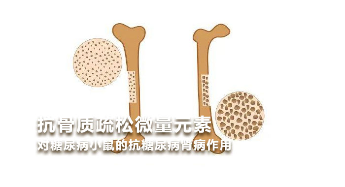 2011, 抗骨质疏松微量元素对糖尿病小鼠的抗糖尿病肾病作用(英文版)